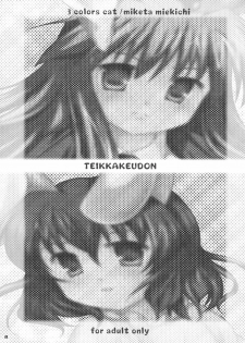 (C75) [3 colors cat (Miketa Miekichi)] Teikkakeudon (Touhou Project) - page 3