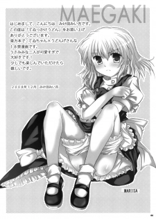 (C75) [3 colors cat (Miketa Miekichi)] Teikkakeudon (Touhou Project) - page 4