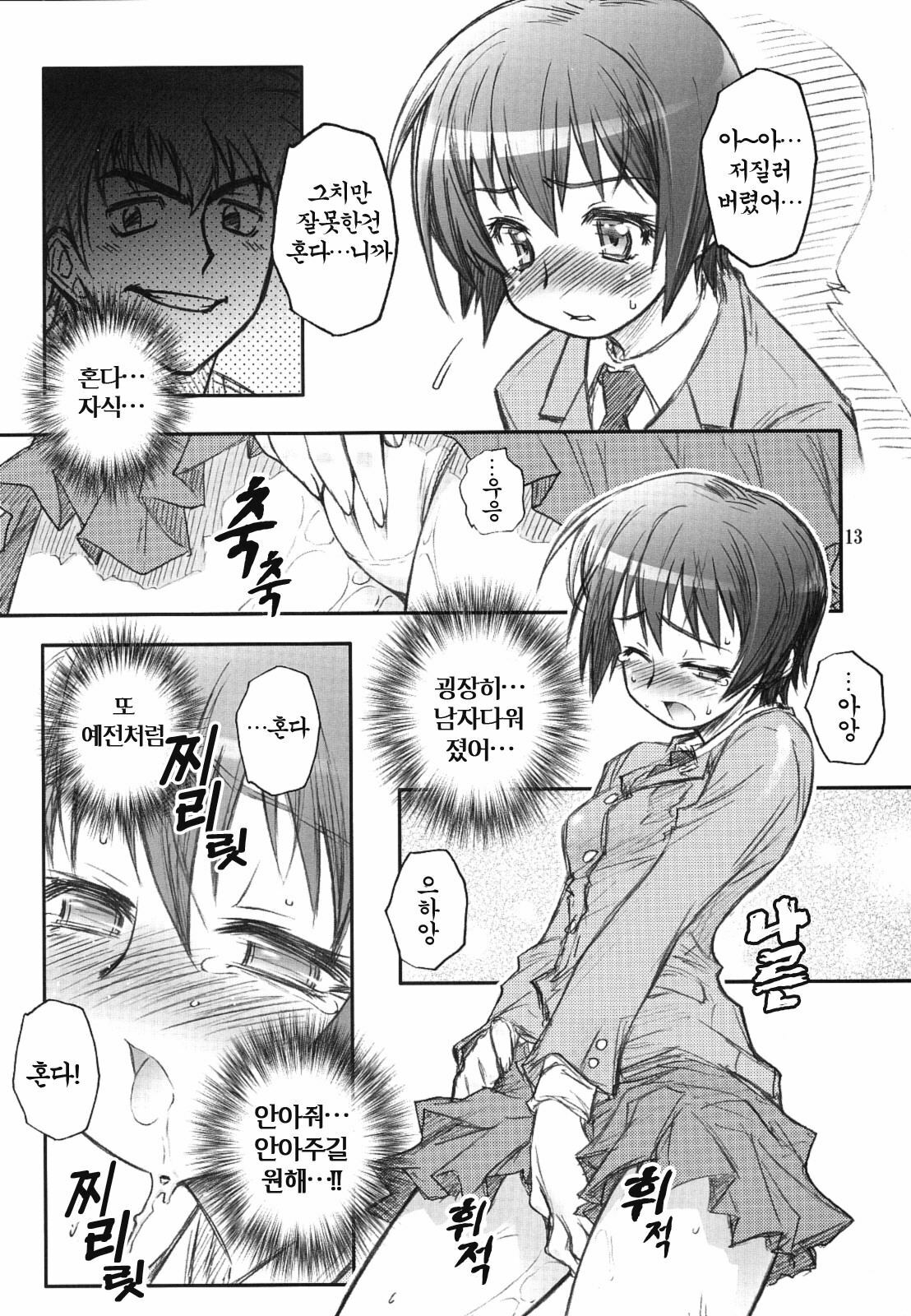 (C69) [RIROLAND (Kuuya, Satomi Hiroyuki)] MOJER SECOND (Major) [Korean] [Project H] page 11 full