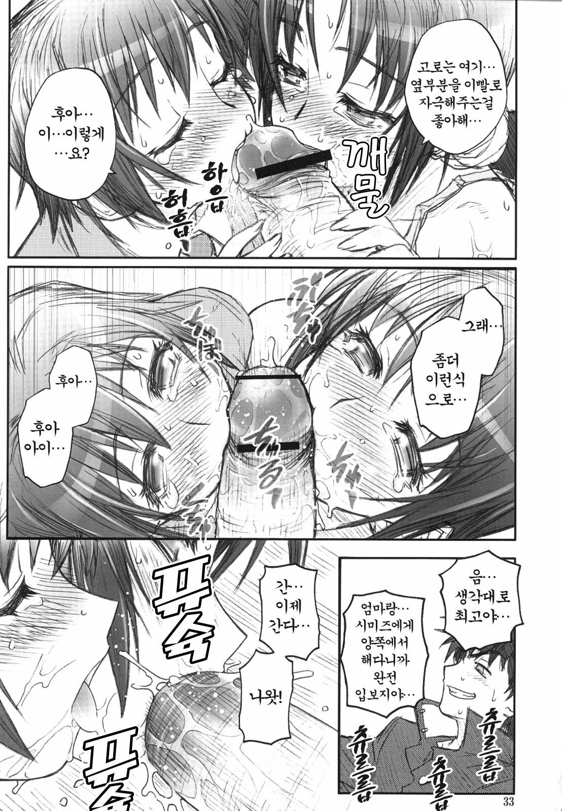 (C69) [RIROLAND (Kuuya, Satomi Hiroyuki)] MOJER SECOND (Major) [Korean] [Project H] page 30 full