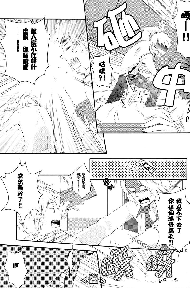 [Axis Powers ヘタリア] 秘密的思想录 page 12 full