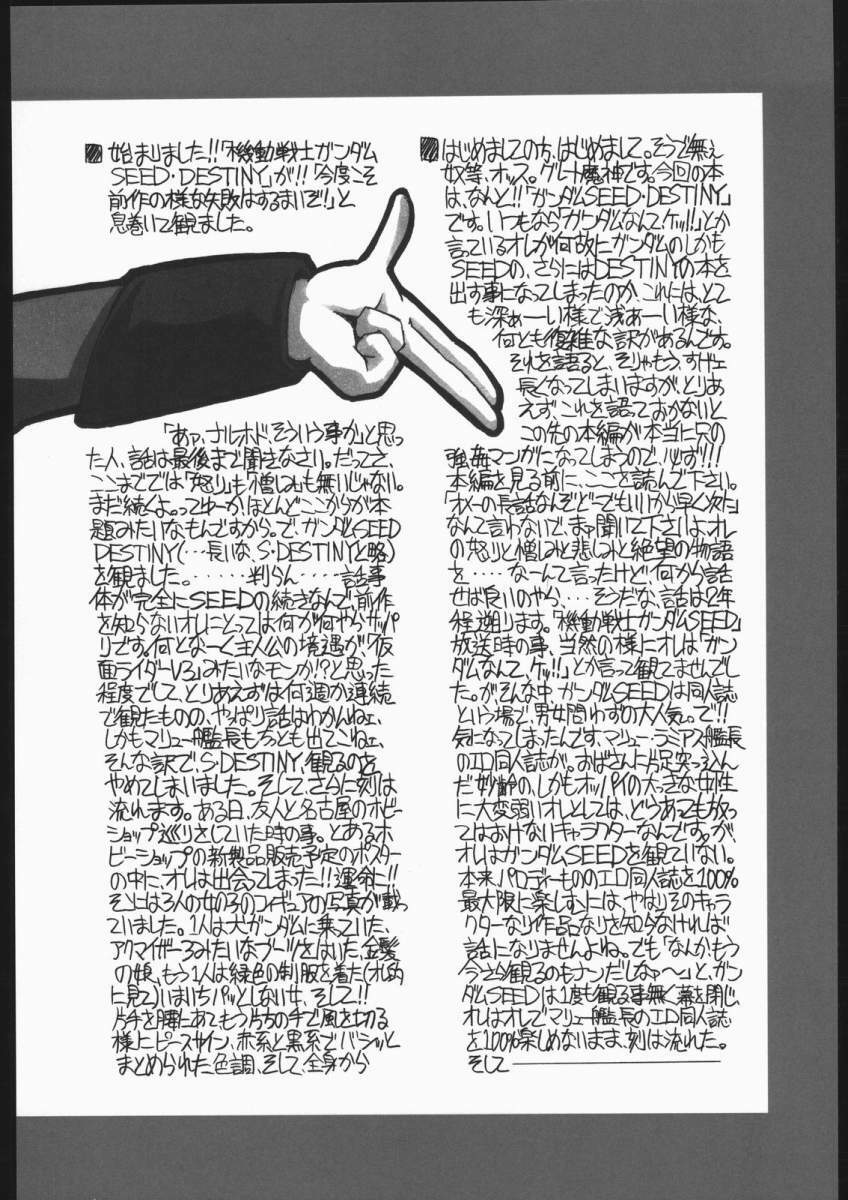 (CR37) [NNZ Dan (Great Magami)] Kawaisa Amatte!! (Gundam SEED Destiny) page 3 full