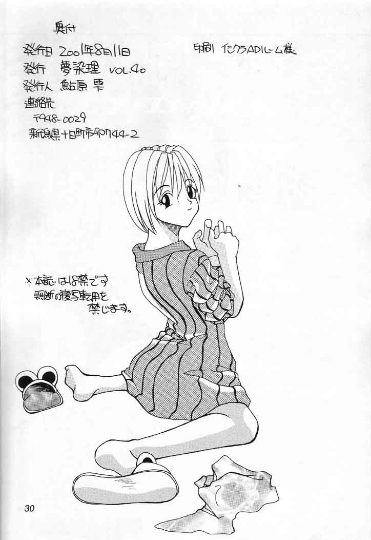 (C60) [Yumesenri (Ayuhara Shizuku)] MILD (Bastard!!) page 29 full