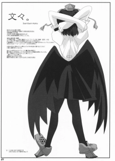 (SC36) [Kieyza cmp (Kieyza)] TOHO N+ #2 (Touhou Project) - page 22