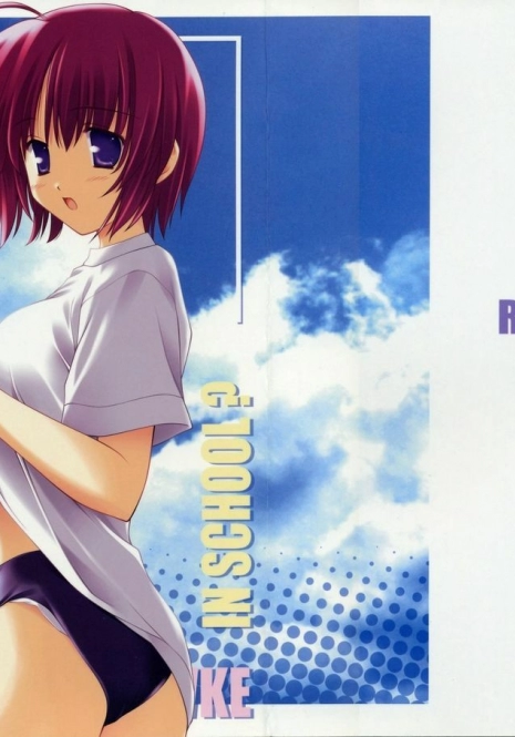 (CR37) [Nirvana Soft (HIRONII)] Red Impact 3 (Gundam Seed Destiny)