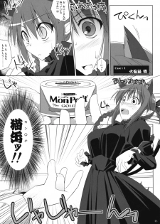 (C75) [TOYBOX, Kujira Logic (Kurikara, Kujiran)] Gensoukyou Chichi Zukan - Chi (Touhou Project) - page 4