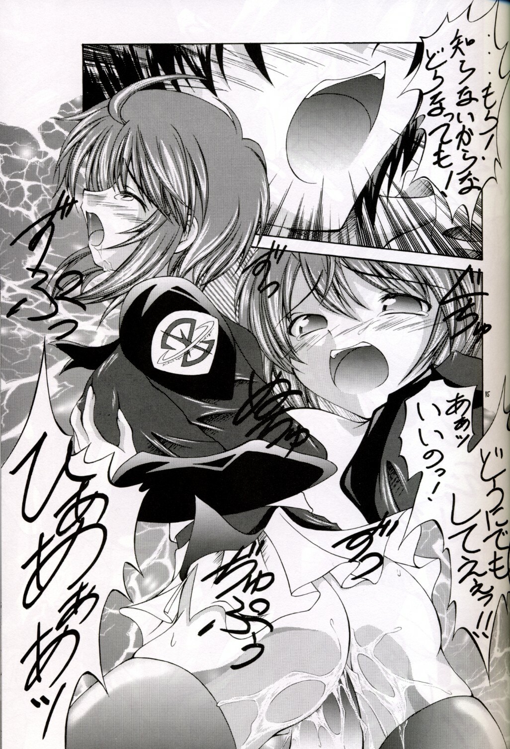 (C67) [Red Ribbon Revenger (Hayama, Makoushi)] Shouhou (Gundam Seed Destiny) page 15 full