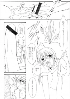 (C58) [Akkan-Bi Project (Yanagi Hirohiko)] Dead Weight (Dead or Alive) - page 10
