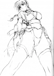 (C58) [Akkan-Bi Project (Yanagi Hirohiko)] Dead Weight (Dead or Alive) - page 28