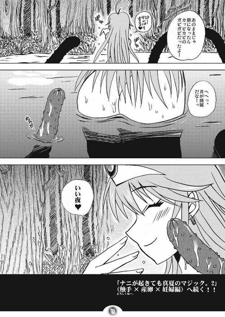 (C70) [Harem (Mizuki Honey)] Nani ga Okitemo Manatsu no Magic. (Dragon Quest III) page 12 full