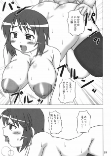 (C68) [Hasuya (Mikagezawa Ren)] Tane Chichi (Kidou Senshi Gundam SEED DESTINY [Mobile Suit Gundam SEED DESTINY]) - page 18