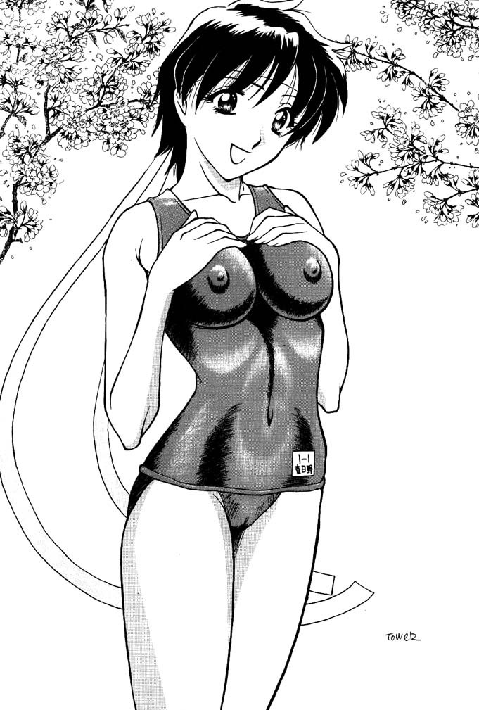 (C74) [Rippadou (ToWeR)] ToWeR's WoRkS G-style (Various) page 38 full