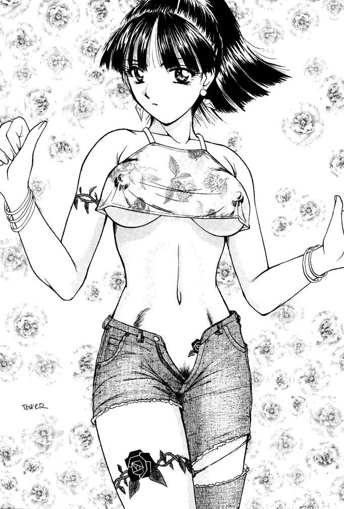 (C74) [Rippadou (ToWeR)] ToWeR's WoRkS G-style (Various) page 39 full
