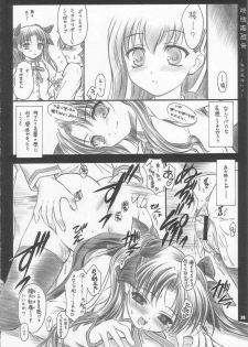 (C67) [Yakan Hikou (Inoue Tommy)] CATTLEYA 3 (Fate/stay night) - page 25