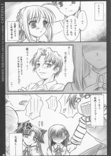 (C67) [Yakan Hikou (Inoue Tommy)] CATTLEYA 3 (Fate/stay night) - page 28