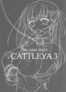 (C67) [Yakan Hikou (Inoue Tommy)] CATTLEYA 3 (Fate/stay night) - page 2