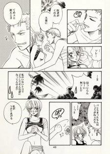 [Hide and Seek & Mary] Over and Over [One Piece] - page 42