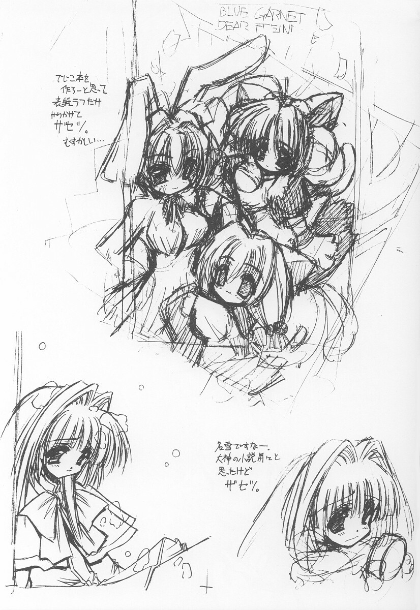 (C64) [BLUE GARNET (Serizawa Katsumi)] GIIIIII (Ragnarok Online) page 28 full