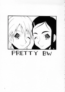 (C66) [MANGANA (Doluta, Nishimo)] PRETTY BW (Futari wa Precure) - page 2