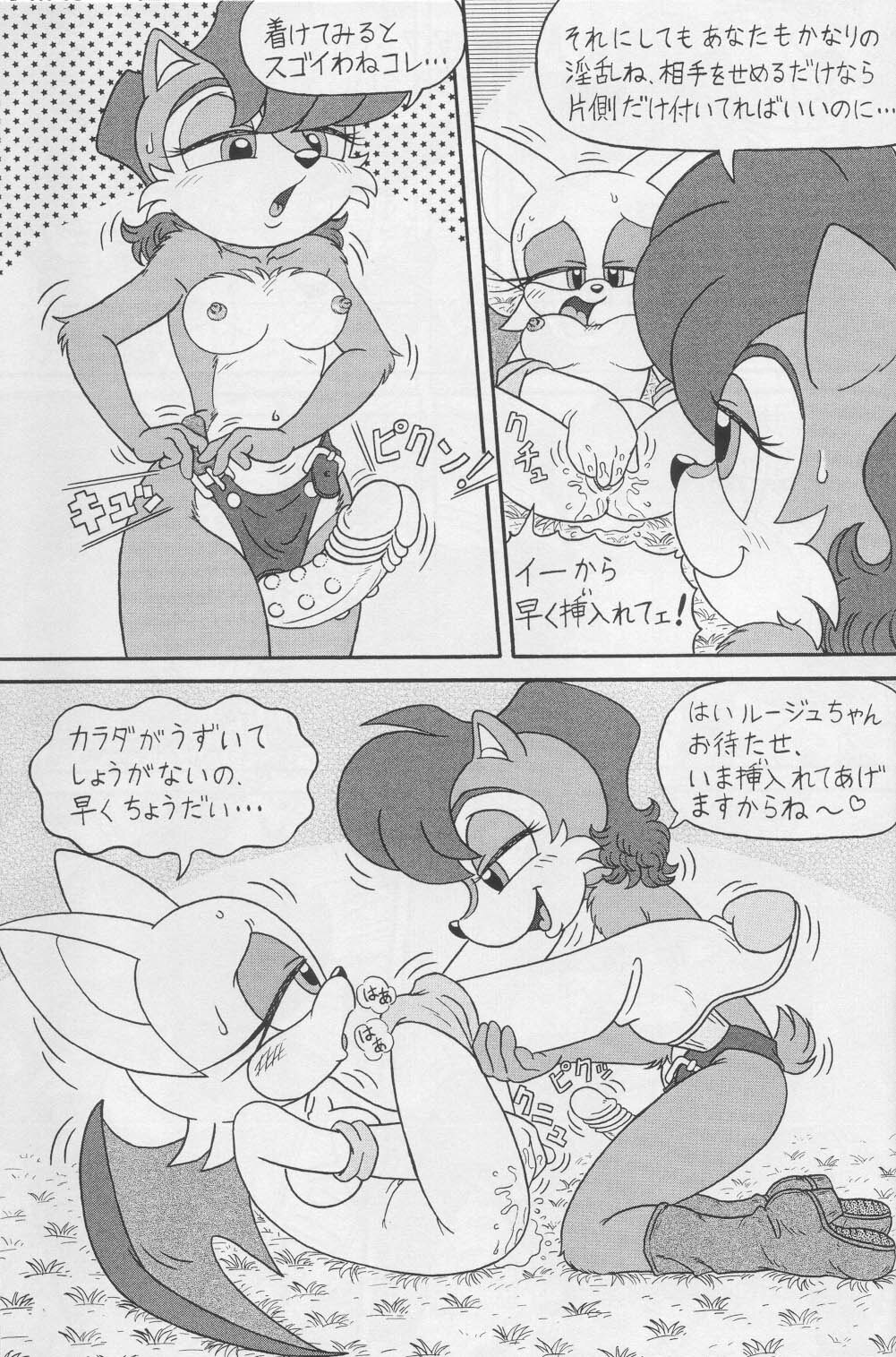 (CR34) [Furry Bomb Factory (Karate Akabon)] Furry BOMB #1 (Sonic the Hedgehog) page 25 full