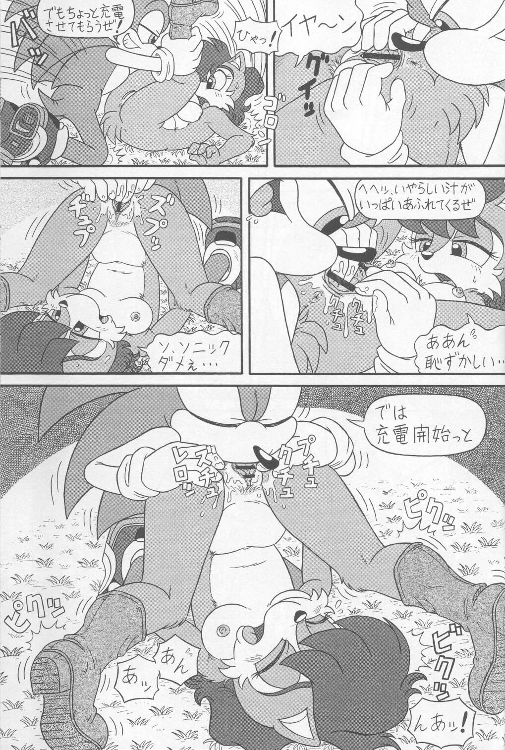 (CR34) [Furry Bomb Factory (Karate Akabon)] Furry BOMB #1 (Sonic the Hedgehog) page 39 full