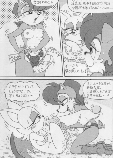 (CR34) [Furry Bomb Factory (Karate Akabon)] Furry BOMB #1 (Sonic the Hedgehog) - page 25