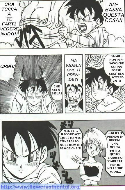 DragonBallH-GohanXVide [Italian] [Rewrite] [Flowers of Hentai] page 14 full