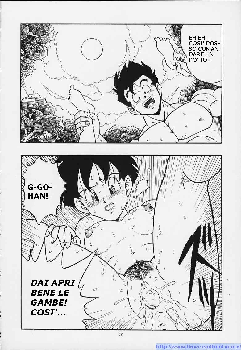 DragonBallH-GohanXVide [Italian] [Rewrite] [Flowers of Hentai] page 25 full