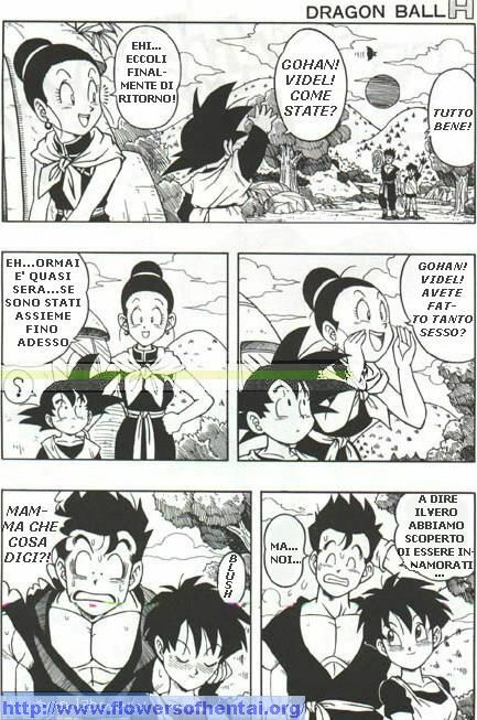DragonBallH-GohanXVide [Italian] [Rewrite] [Flowers of Hentai] page 31 full