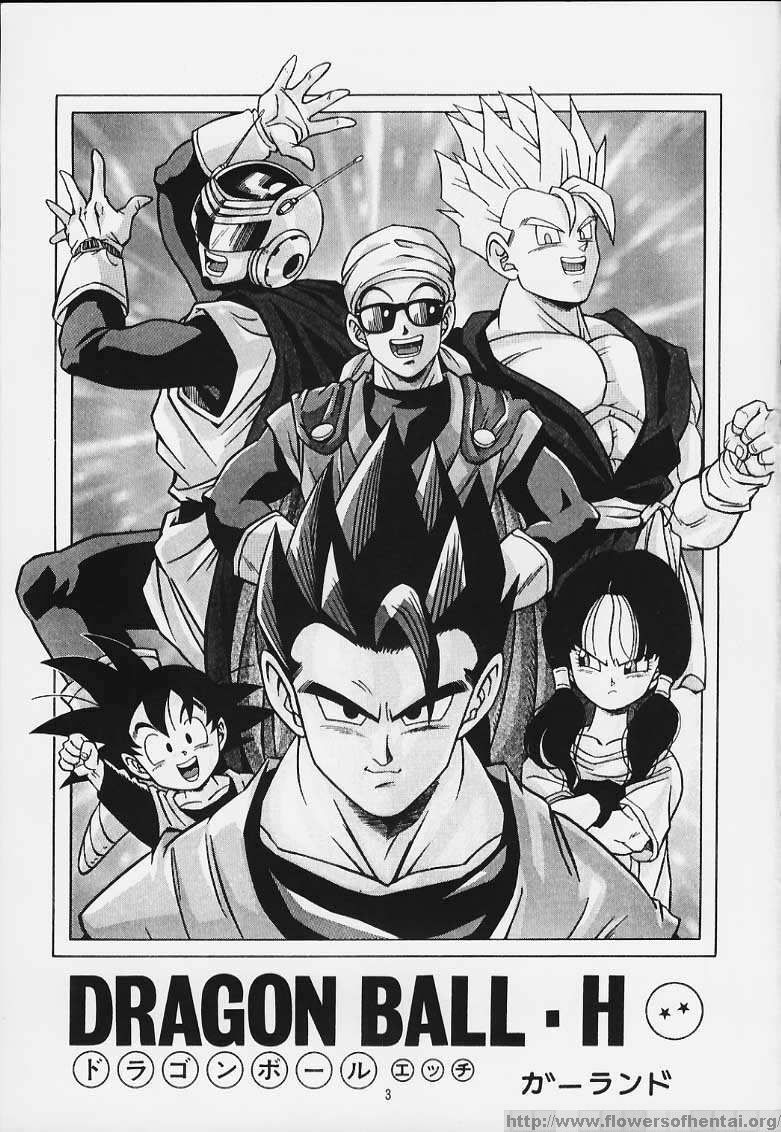 DragonBallH-GohanXVide [Italian] [Rewrite] [Flowers of Hentai] page 4 full