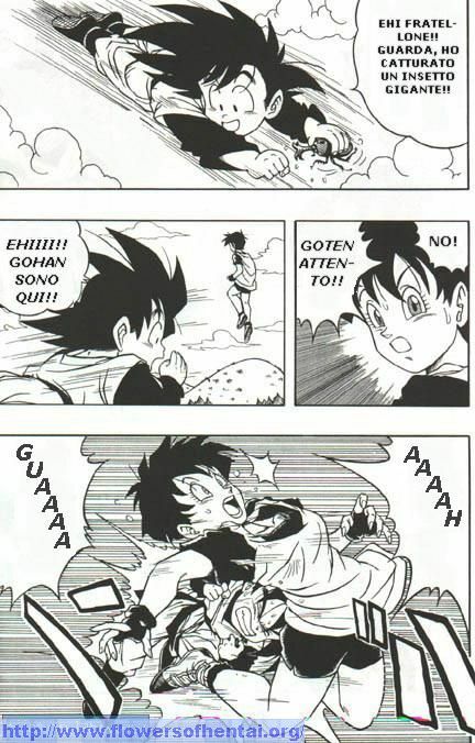 DragonBallH-GohanXVide [Italian] [Rewrite] [Flowers of Hentai] page 6 full