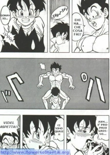 DragonBallH-GohanXVide [Italian] [Rewrite] [Flowers of Hentai] - page 15