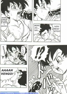 DragonBallH-GohanXVide [Italian] [Rewrite] [Flowers of Hentai] - page 16
