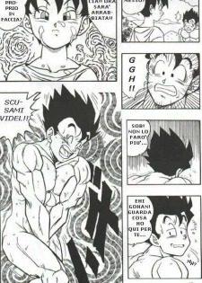 DragonBallH-GohanXVide [Italian] [Rewrite] [Flowers of Hentai] - page 17