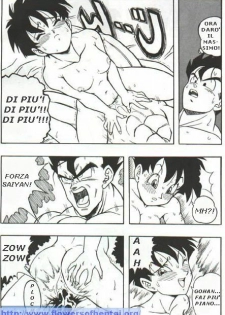 DragonBallH-GohanXVide [Italian] [Rewrite] [Flowers of Hentai] - page 22