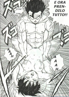 DragonBallH-GohanXVide [Italian] [Rewrite] [Flowers of Hentai] - page 26