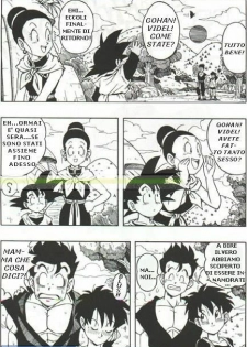 DragonBallH-GohanXVide [Italian] [Rewrite] [Flowers of Hentai] - page 31