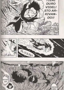 DragonBallH-GohanXVide [Italian] [Rewrite] [Flowers of Hentai] - page 8
