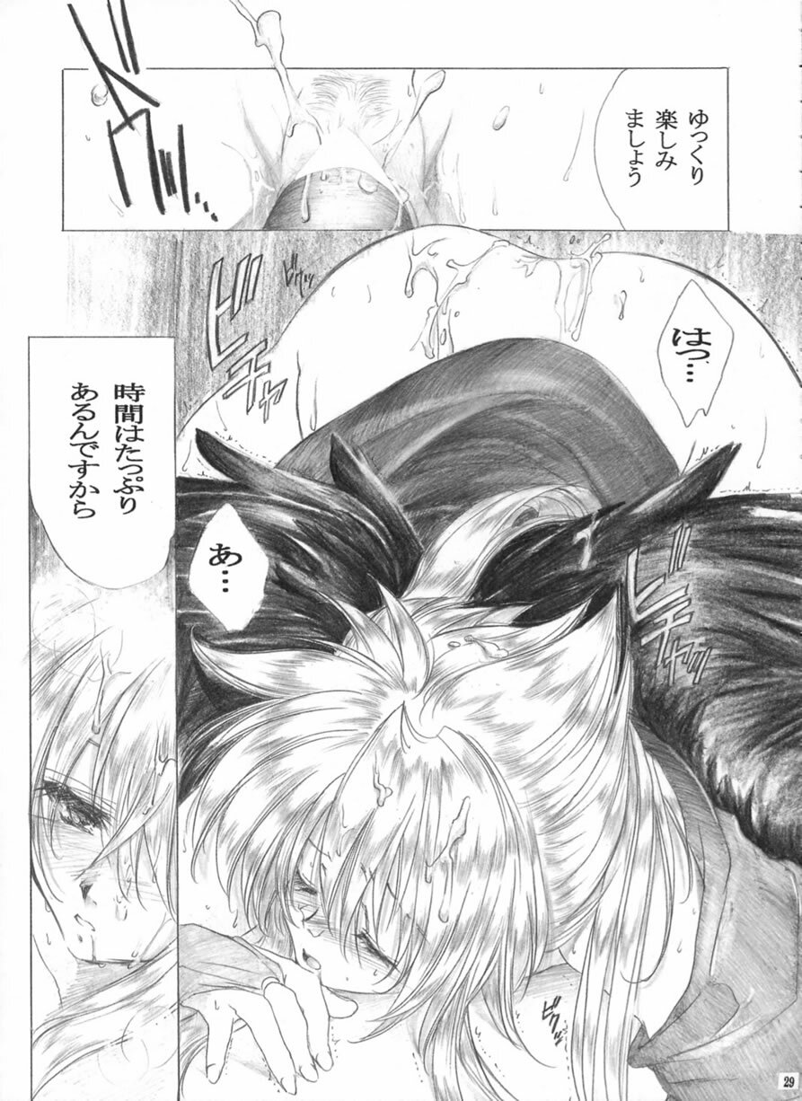 (C62) [Toko-ya (HEIZO, Kitoen)] Yasashii Uta (Breath of Fire II) page 28 full