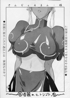 (C56) [Tail of Nearly (Various)] Shadow Defence 17 (Street Fighter) - page 23