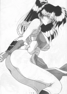 [White Elephant (Various)] Mai-chan Kannou Shashinshuu 2 (King of Fighters) - page 11