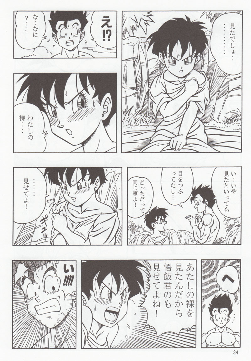 [Rehabilitation (Garland)] DRAGONBALL H Soushuuhen (Dragon Ball Z) page 33 full