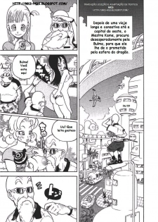 Mestre Kame (Dragon Ball) [Portuguese-BR] [Rewrite] {MKS} - page 2