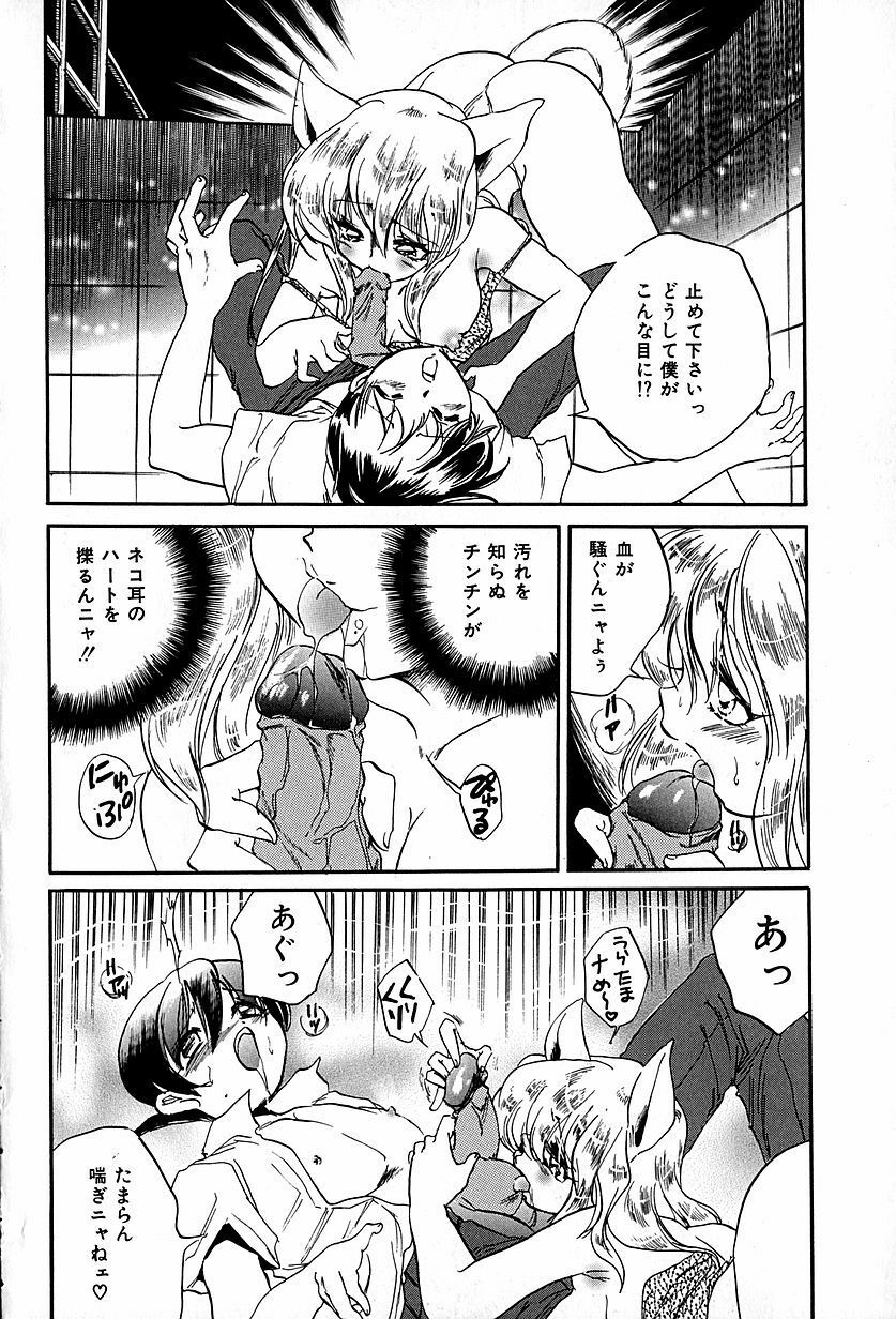[Ogawa Renji] Nekomimi Aika Houtai Shoujo page 143 full