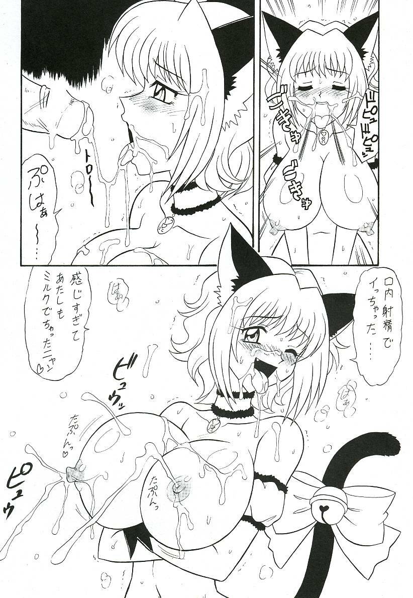 (C63) [Mutsuya (Mutsu Nagare)] Sugoi Ikioi 12 (Tokyo Mew Mew) page 7 full
