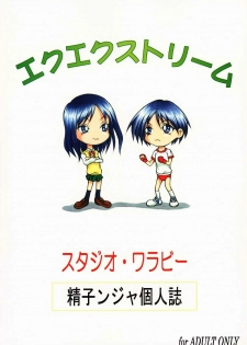 (C58) [Studio Wallaby (Seishinja)] Ex-extreme (To Heart) - page 29