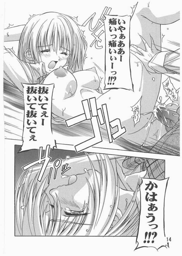 [Studio Q (Natsuka Q-Ya)] Tsukasa Akashingou! (Ichigo 100%) page 17 full