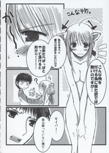 (SC24) [TAROTS (Sawano Akira)] THE MOON (Fate/stay night) - page 5