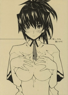 (C68) [Shoryutei (Shoryutei Enraku)] Ichigo ver.4 STRAWBERRY PURISM (Ichigo 100%) - page 16