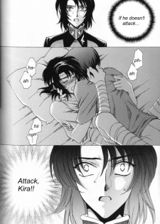 (Mimiket 13) [Yougekishu (Arina Toshimi)] Shakunetsu (Gundam SEED DESTINY) [English] [Arigatomina] - page 18